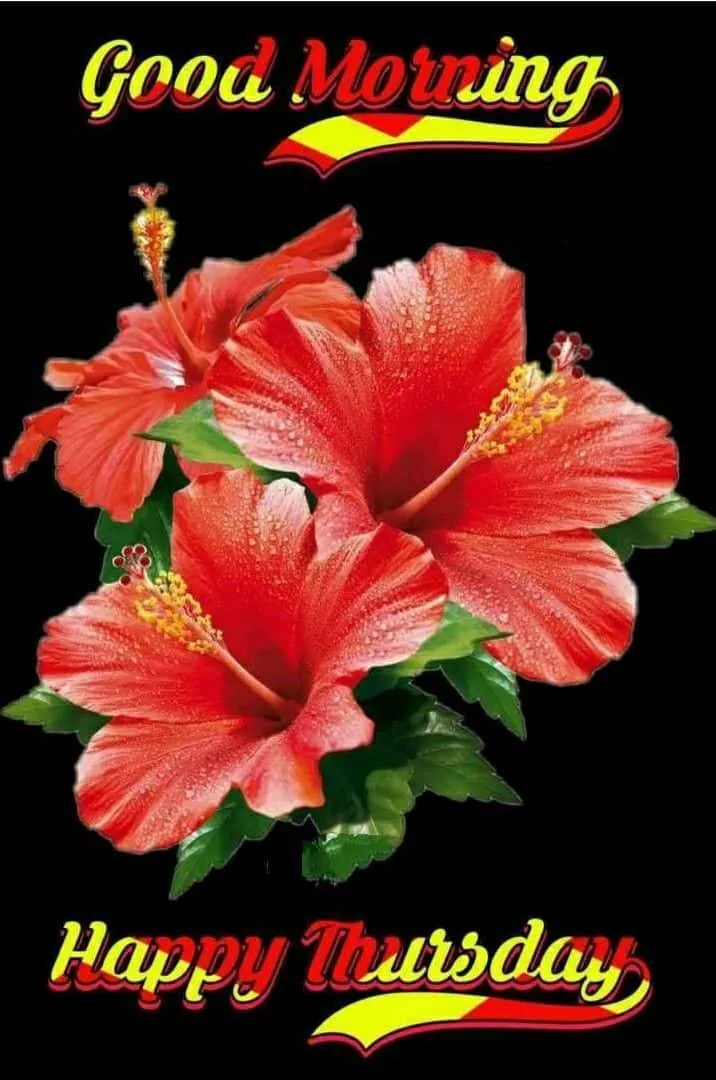Good Morning Happy Thursday Images