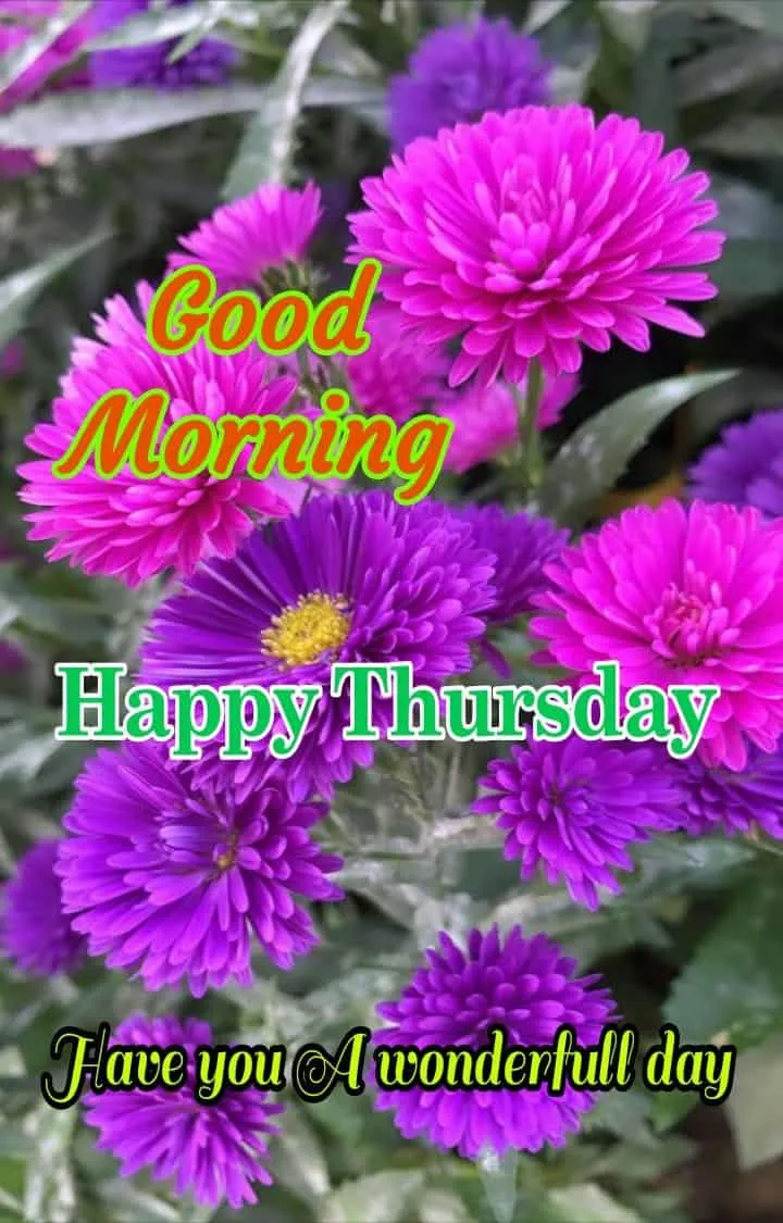 Good Morning Happy Thursday Images