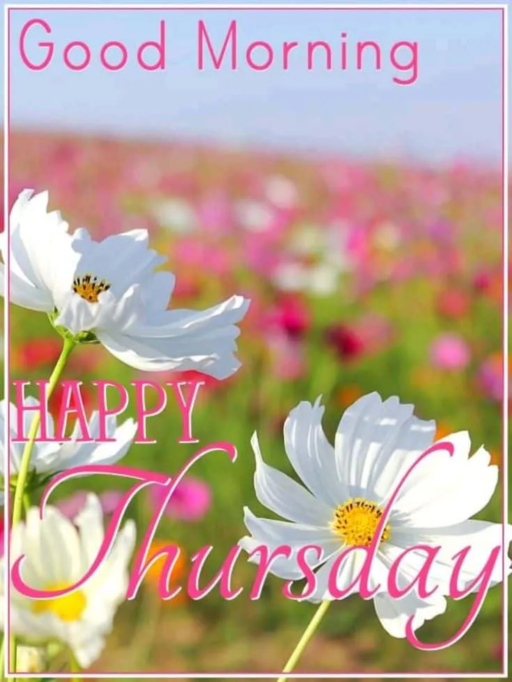 Good Morning Images Thursday