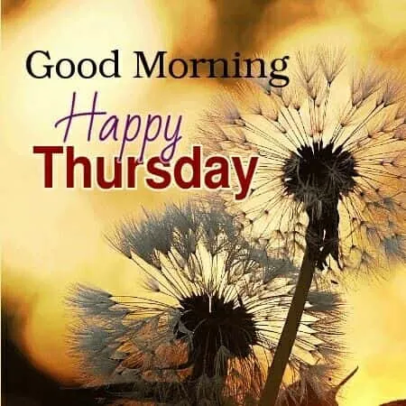 Good Morning Images Thursday