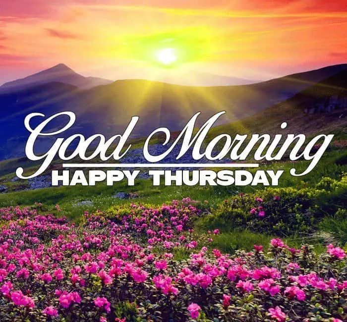 Good Morning Images Thursday