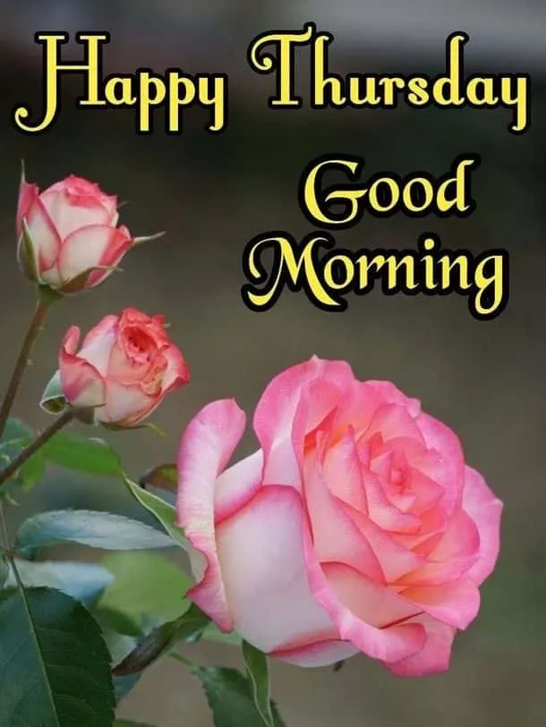 Good Morning Images Thursday