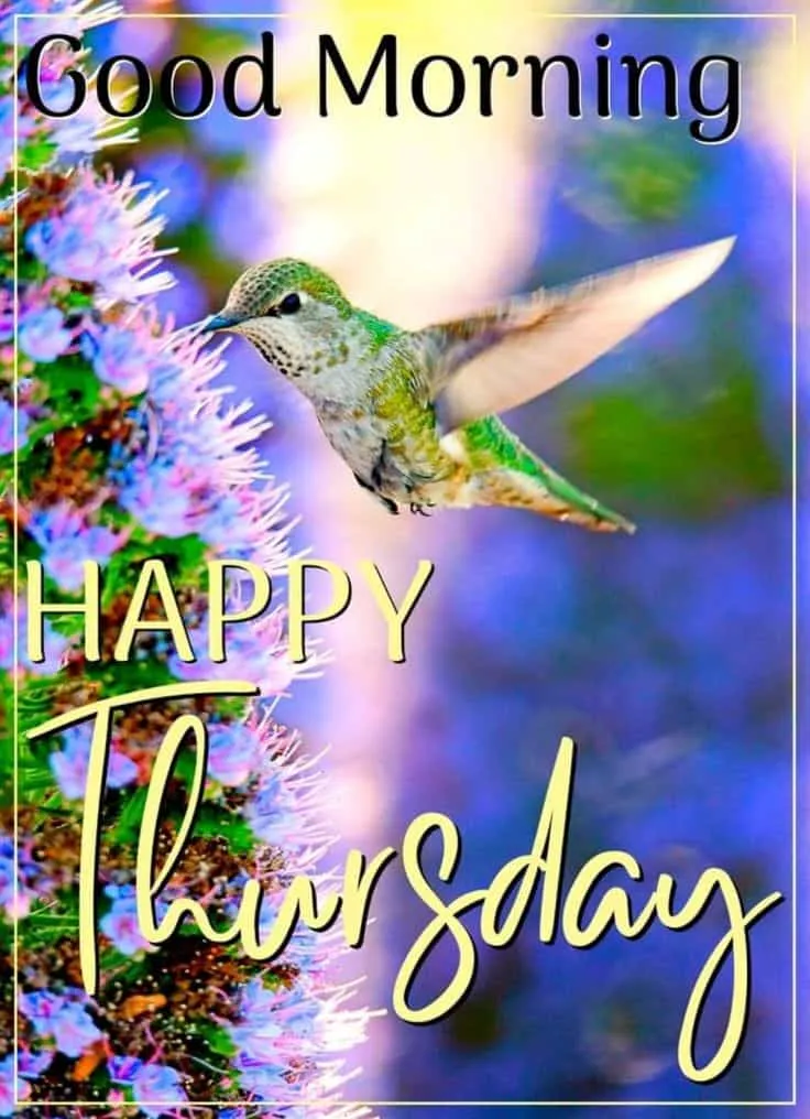 Good Morning Thursday Images