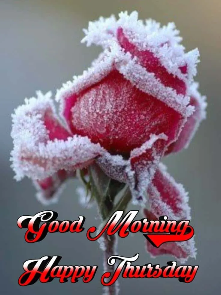 Good Morning Thursday Images For Whatsapp